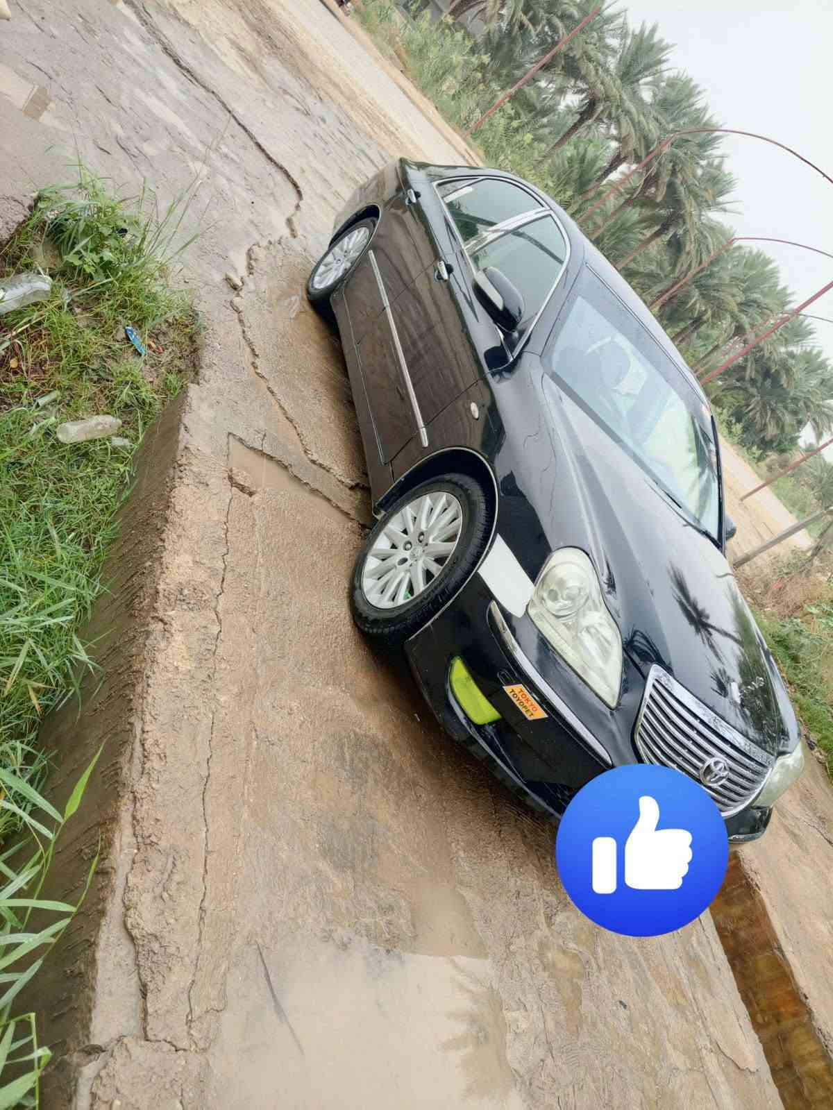 ماجستا • طبق الأصل • شمالي