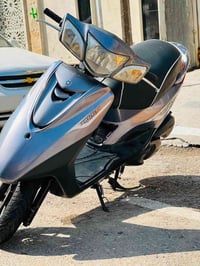 بغبغاء • فول كور • رياضي
