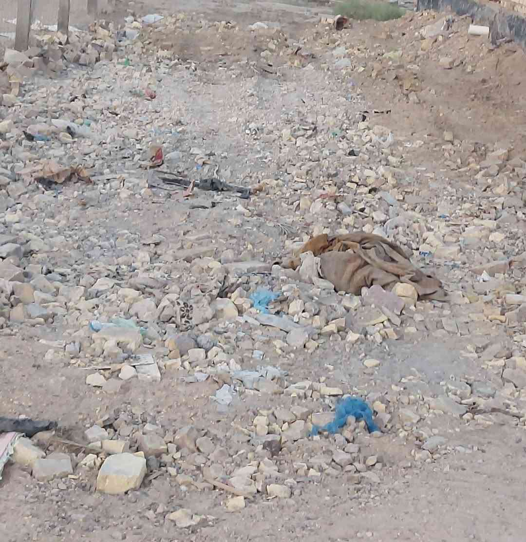 قطعة أرض للبيع مساحه 600متر
طابو زراعي سند٢٥داخل حي سكني خدمات كامله ثاني قطعة عن تبليط العنوان الحله ورديه سيف سعد شارع المشجر مقابل حي ابو طالب ثاني قطعه عن شارع التبليط مال شارع المشجر 

***********
