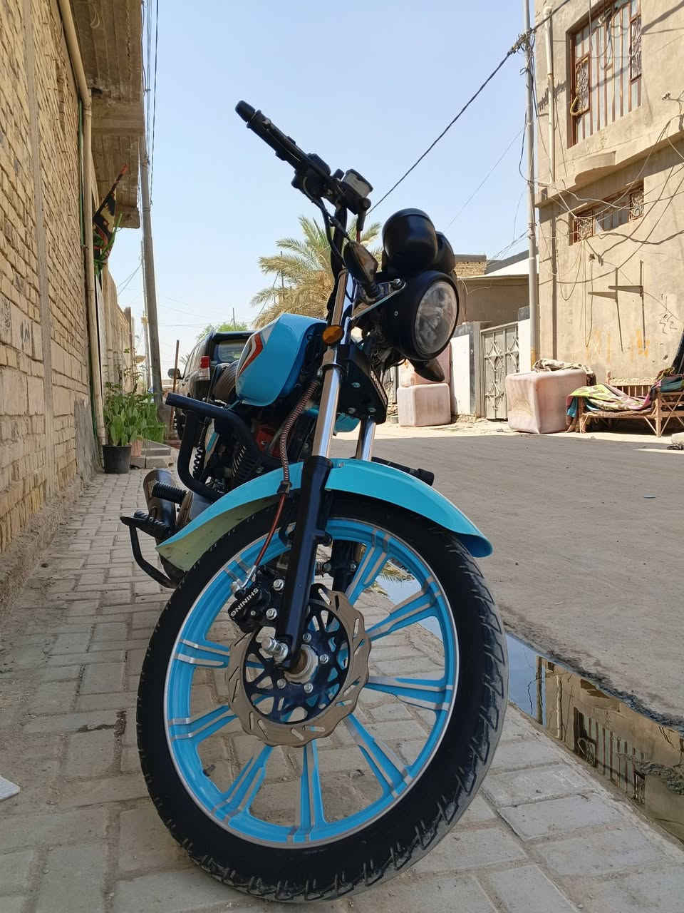 شاينك • ٢٠٢٣ • طالعة ٢٠٢٥