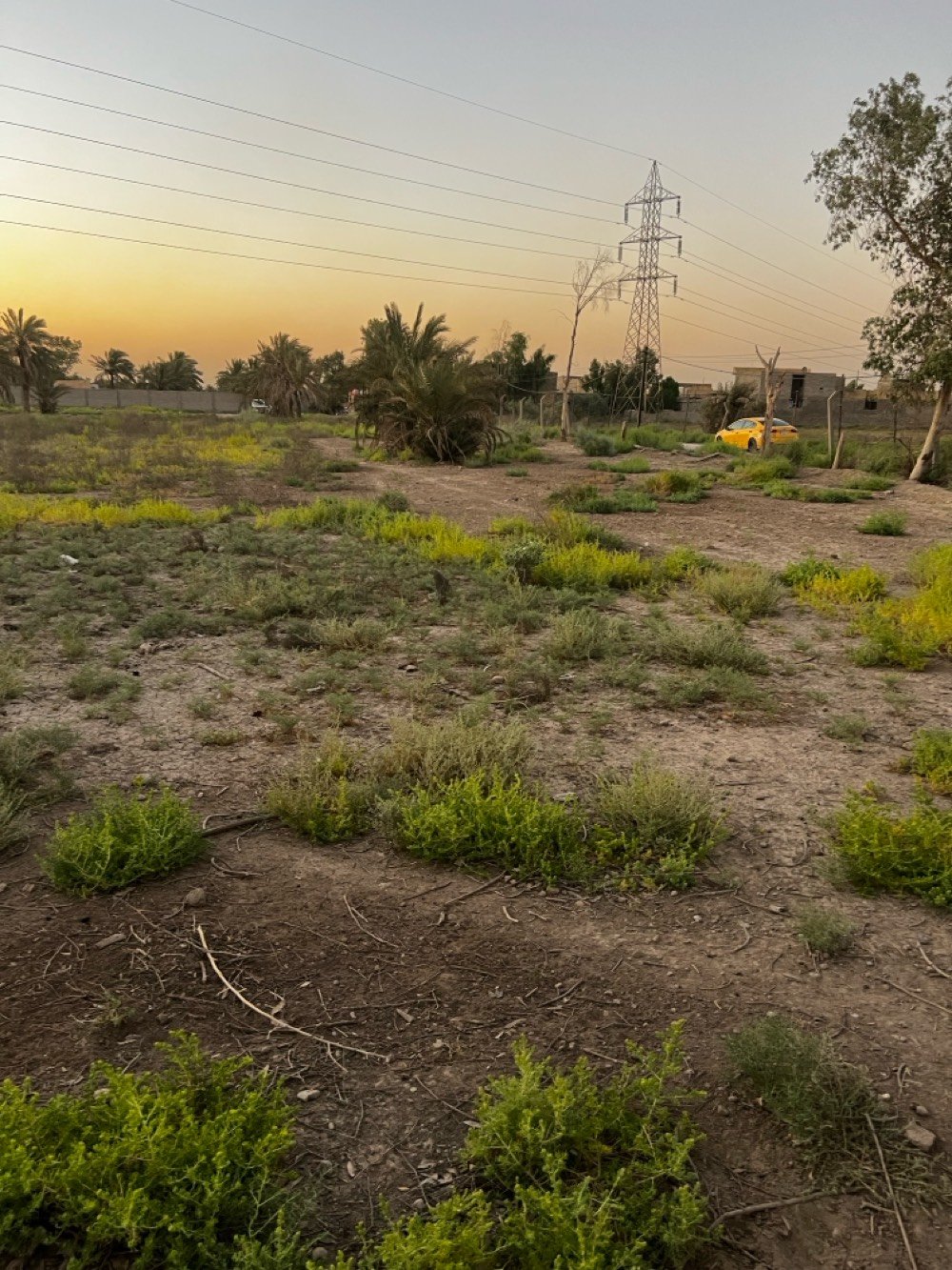 سلام عليكم 3 دوانمً البيع ماء كهرباء خير من الله 
حسب الطلب يعني نبيع دونم عادي عله شارعين 
كرغوليه خلف بانزين خانه سايد الواحد تواصل عله رقم *********** واستاب