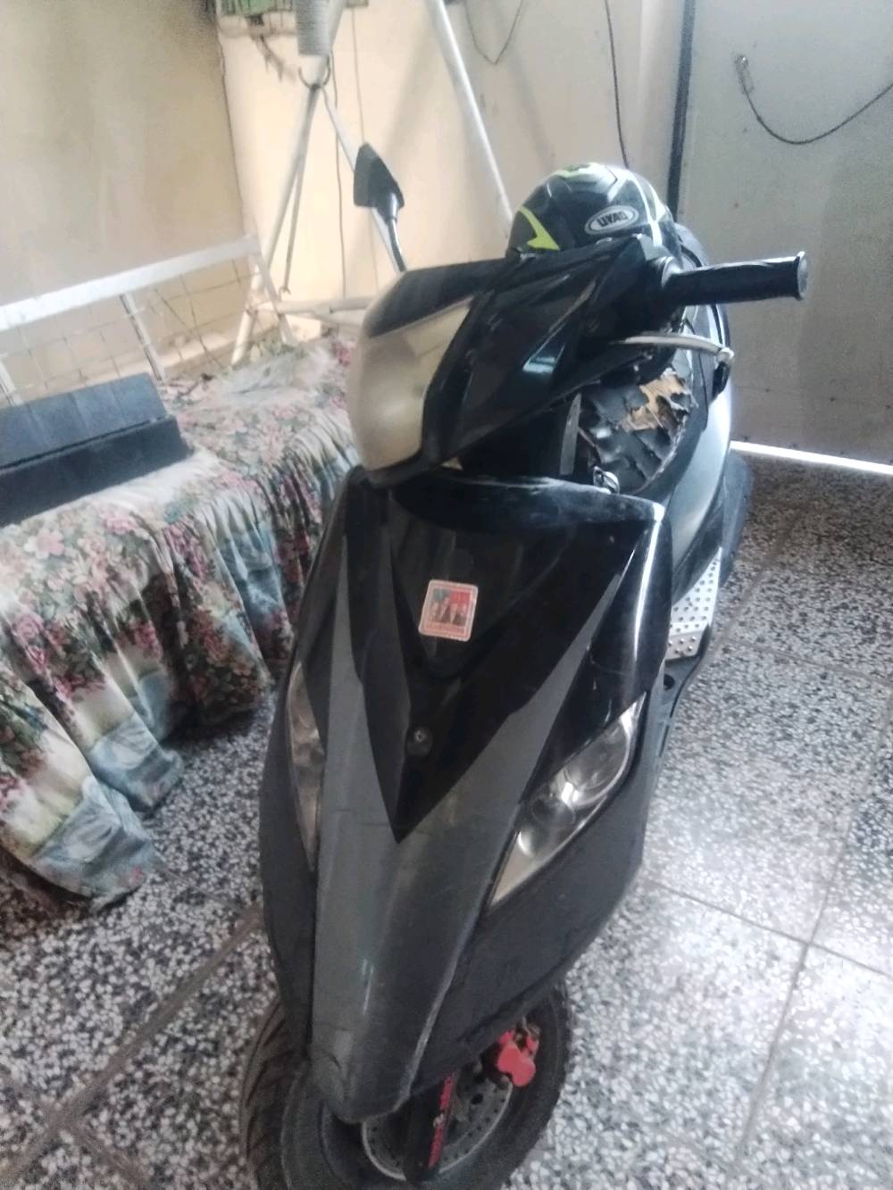 ثعلب • محرك نظيف • نزلتها