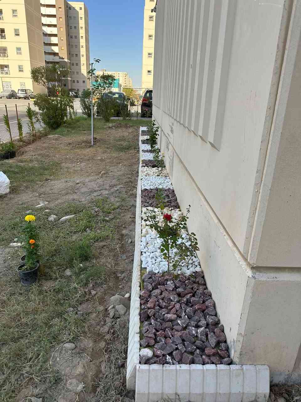 ✨ مستعدون لعمل وتصميم الحدائق والمزارع ✨🌴

بالتعاون مع مشتل دار السلام 🌱
نوفر لكم أفضل الخدمات بأجود المواد وبإشراف كادر متخصص

🔹 تنفيذ وتصميم الحدائق المنزلية والعامة
🔹 لاينات حدائق بأشكال عصرية
🔹 حجر حدائق وديكورات خارجية
🔹 سنادين بمختلف الأحجام والأنواع
🔹 تجهيز المزارع والمساحات الخضراء

📍 زورونا في موقعنا:
بغداد – المدائن / الجعارة

📞 للتواصل والاستفسار:
***********
