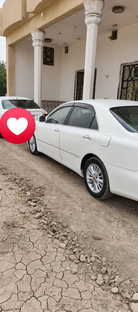 شاهينات العدد 2
داخل بيجي 182
داخل رصاصي 180
بيع جمله السعار مناسبه جدا
شراي يتصل ويدلل ‏‪***********‬‏
