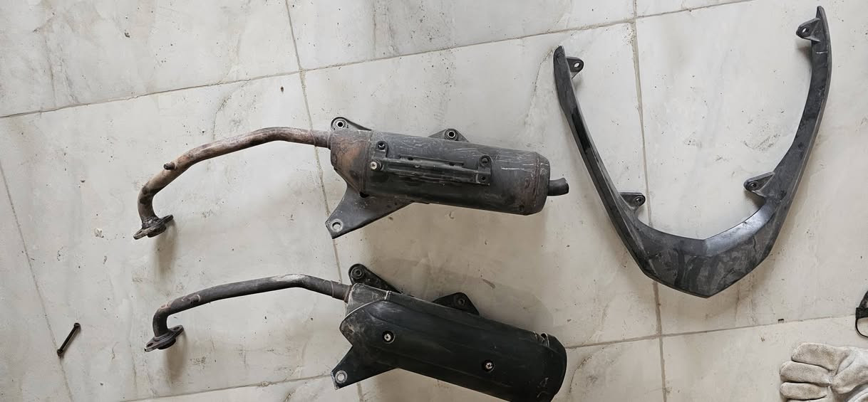 صالنصات • فورزه اصليه • ثعلب ٢