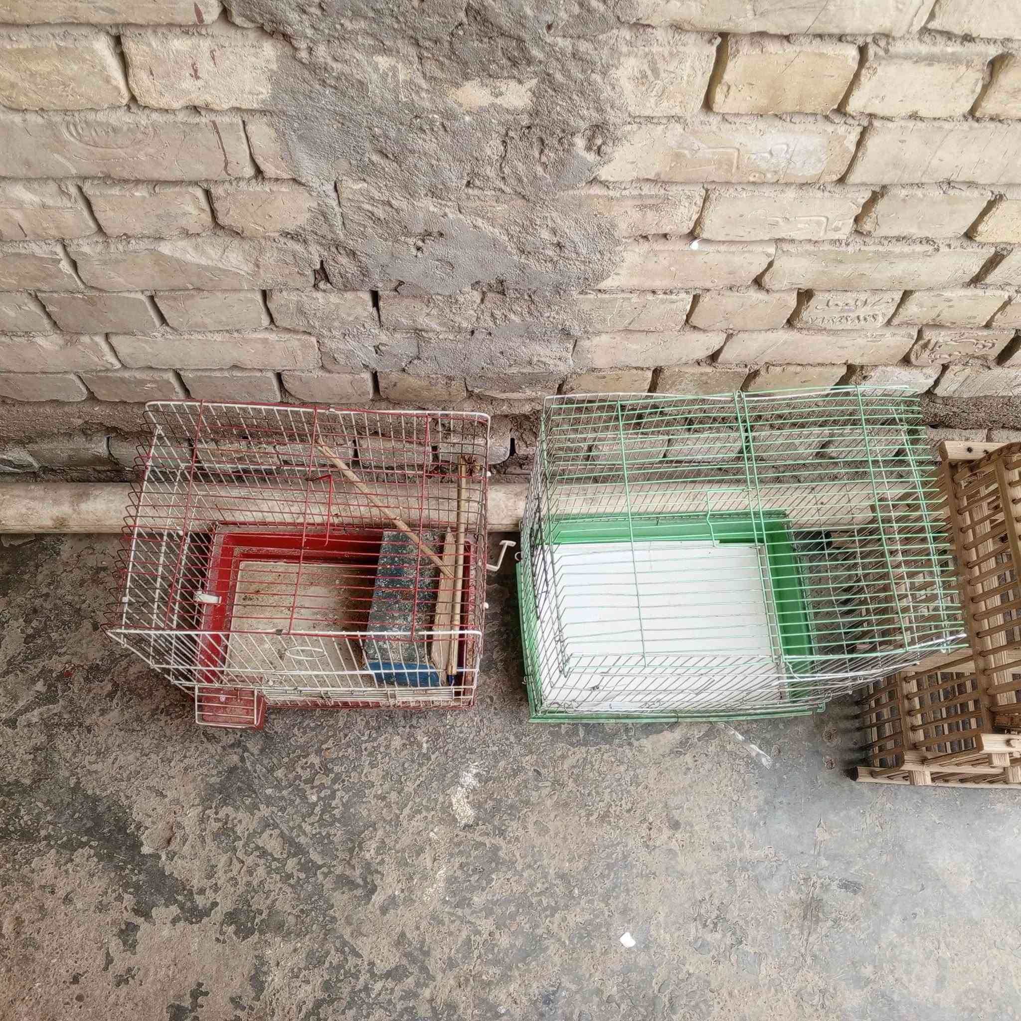 اقفاص نضيفات للبيع في بغداد لاتصال على الرقم ***********
