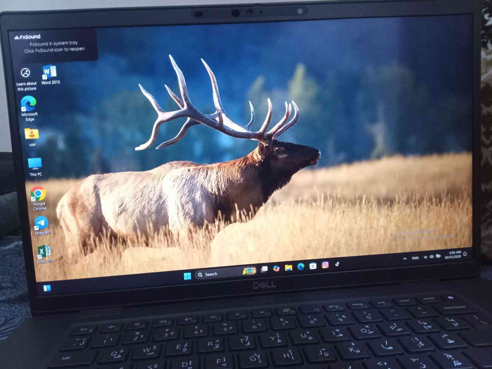 Dell • i5 الجيل ١١ • رام ١٦ جيجا