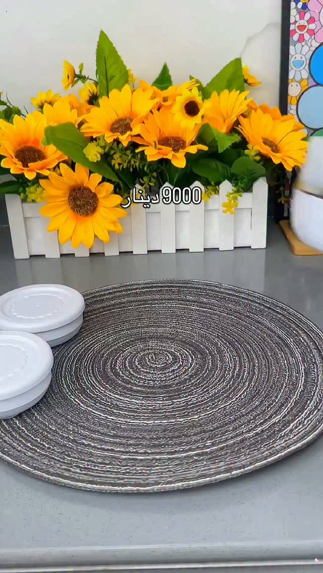 غلاية • سلكون • كهربائية