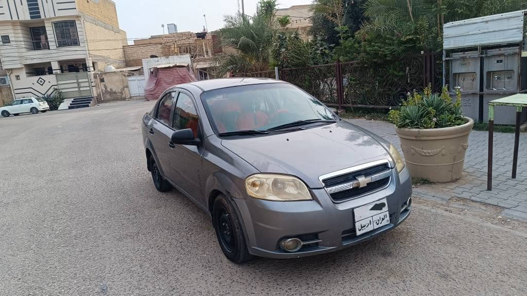 افيو ٢٠٠٩ • رقم اربيل • مكفولة من الصبغ