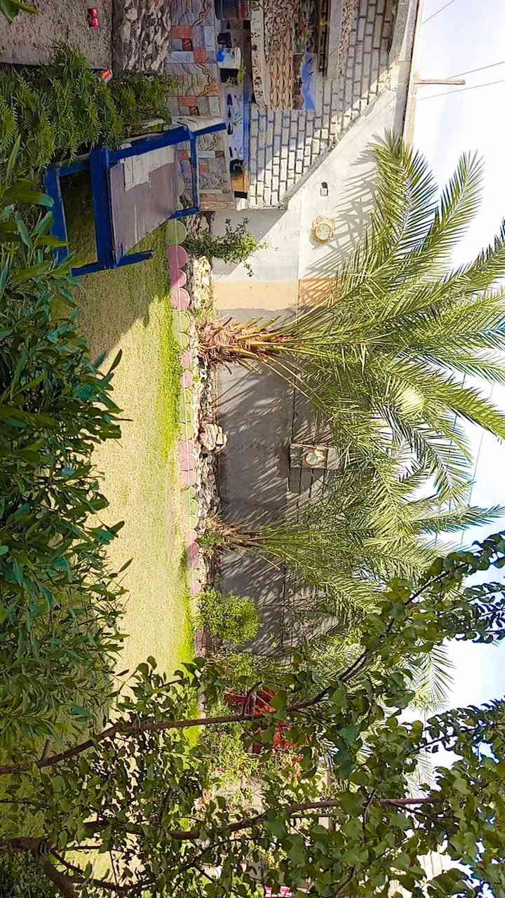 غرفتين • حديقة كبيرة • ٤٥٠م