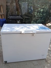 دنكة • حجم كبير • بابل القاسم
