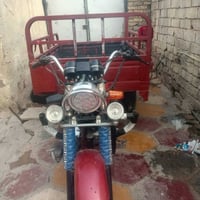 ستوته دايون • نضيفه • اوراق اصوليه