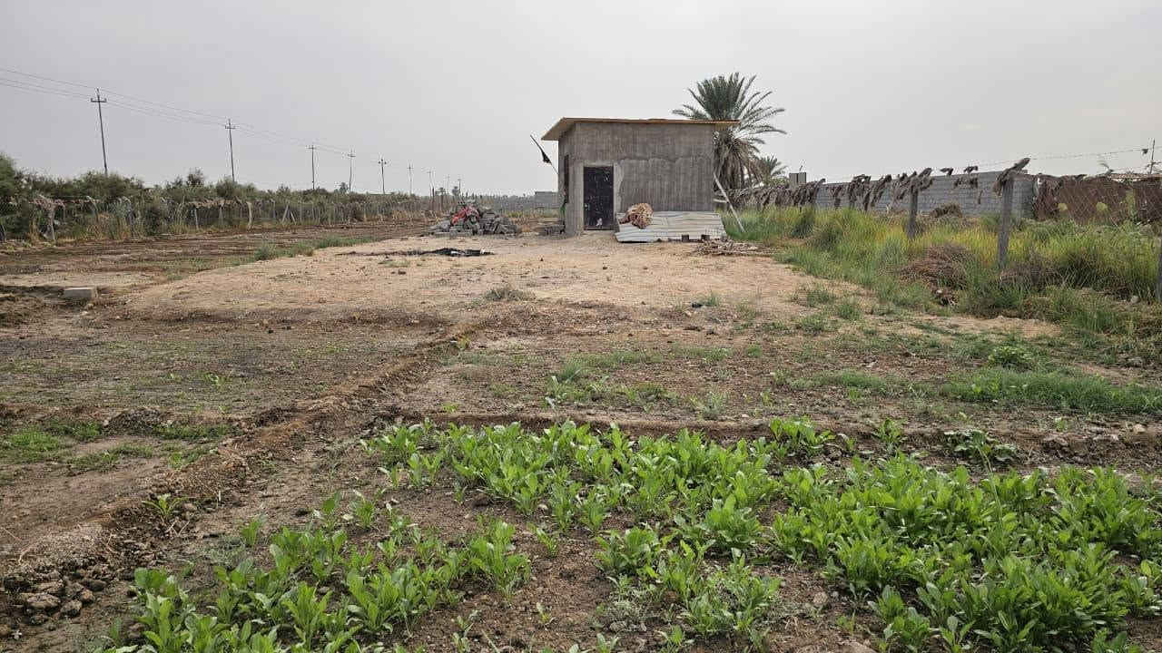 ١٨٠٠م • واجهة ٢٥م • كربلاء الجذار