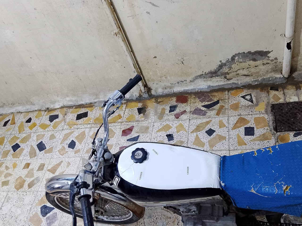 ارشا • نضيفة • صويرة