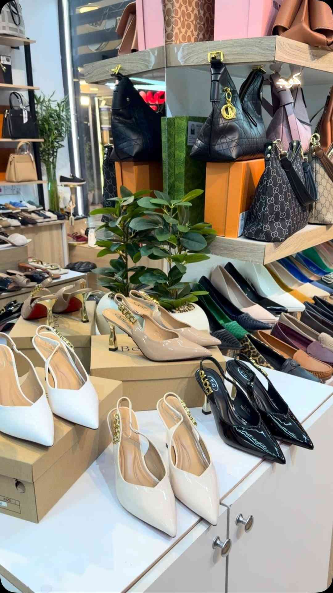 جديد دار الاميرات
  كوجي الجديد 🤍 كعب ٧ سم، راقي ومميز ويخلي الإطلالة تخبل 

-37-38-39-40-41
‎الاستفسار دايركت 
واتساب ***********
توصيل 5 كل المحافضات😍
‎ بغداد العامريه_شارع العمل الشعبي_عمارة المصطفى📍 
#العراق #بغداد #احذيه
