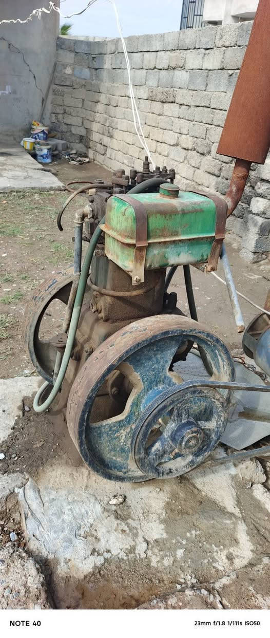 لستر • نضيف • معمرة