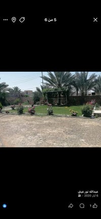 زنكوره اليرموك • دونم ٤٠٠ • ٤٠ نخلة
