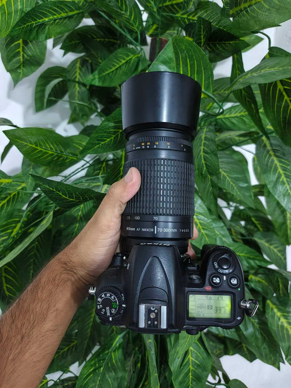 نيكون D7000 • زووم 70-300 • ساحة عدن
