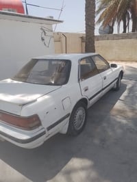 شيزر • ١٩٩١ • ديالى كنعان