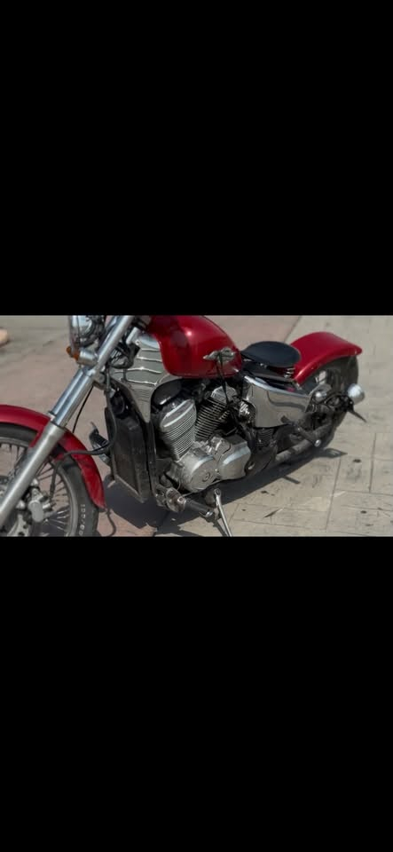 هارلي • كوستم • ببر