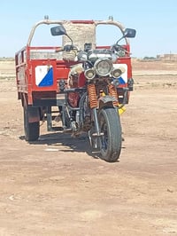 ستوته • ٢٠١٥ • اوراق