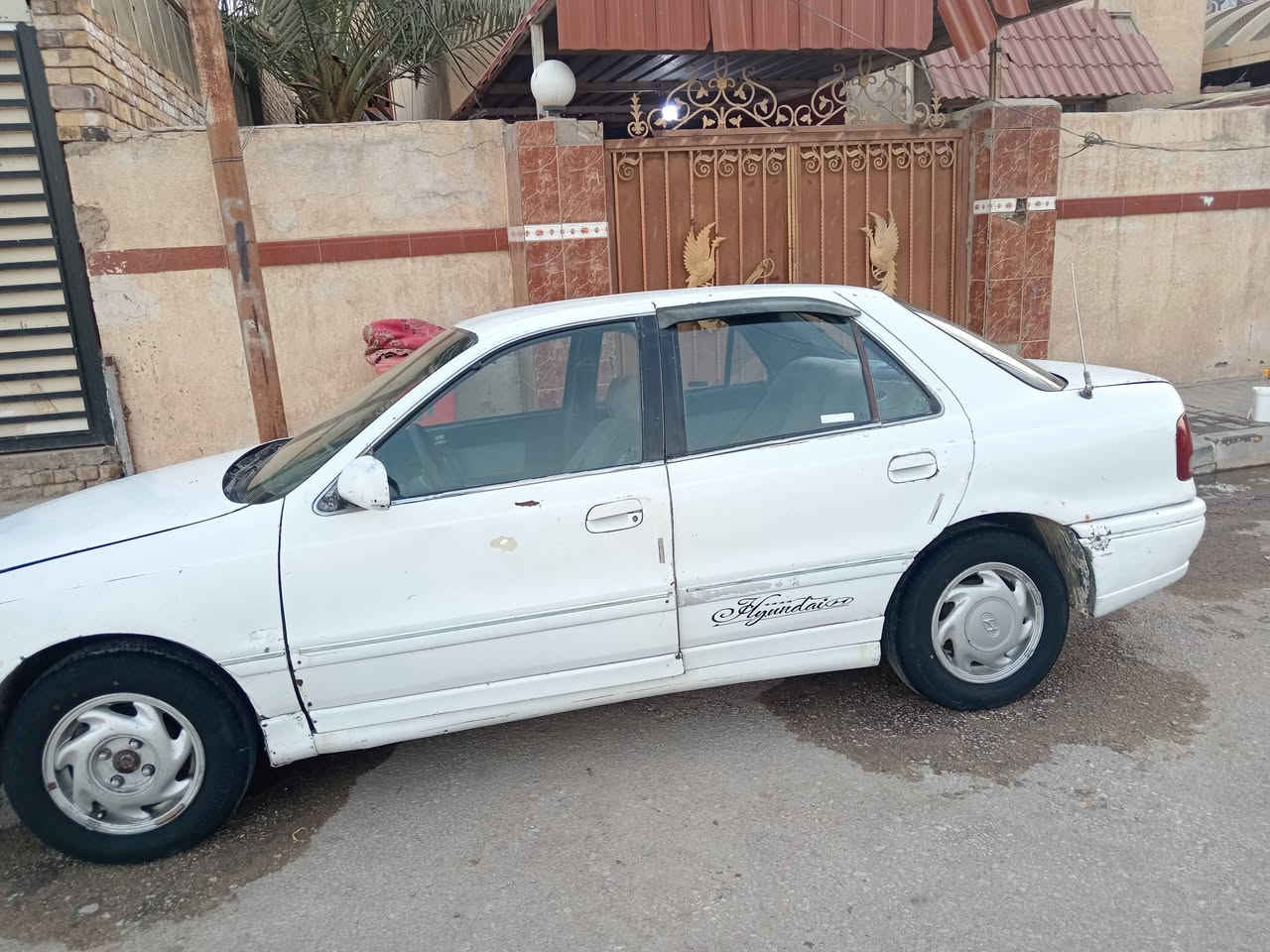 النترا • رقم كربلاء • كشرها خفيف