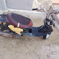 نحله • معدل • تواير جدد