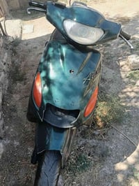 دولفين • شغاله • تاير وراه