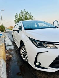كورلا • ٢٠٢٢ • رقم اربيل