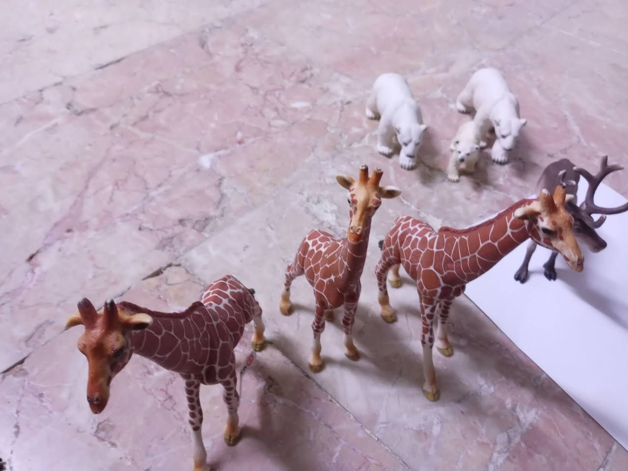 قطع دزني • اصليه