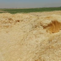 تبن • مال السنة • توصيل المحافظات