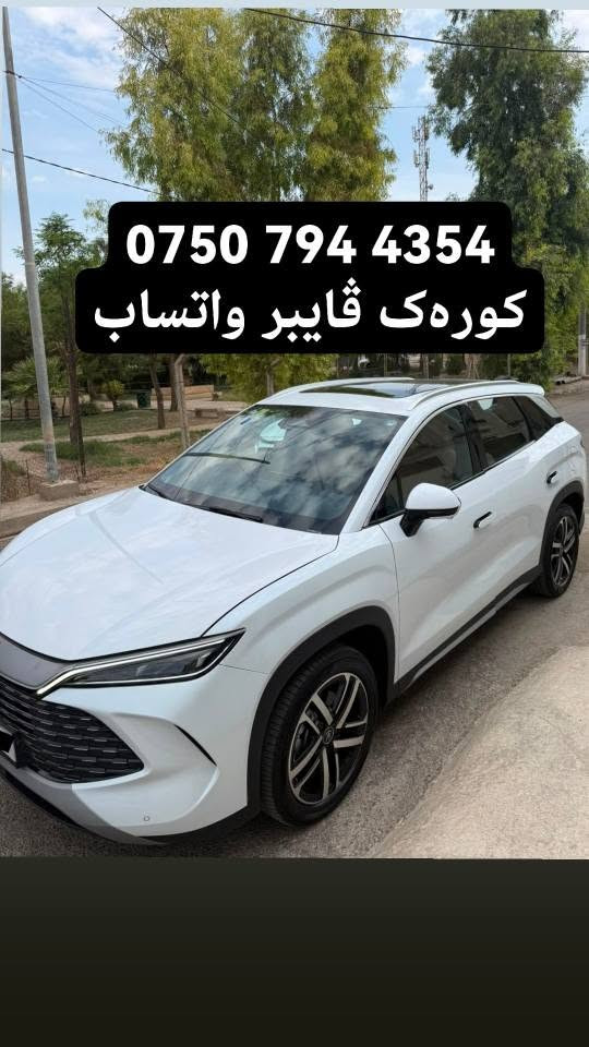 سونغ L • ٢٠٢٥ • رقم اربيل