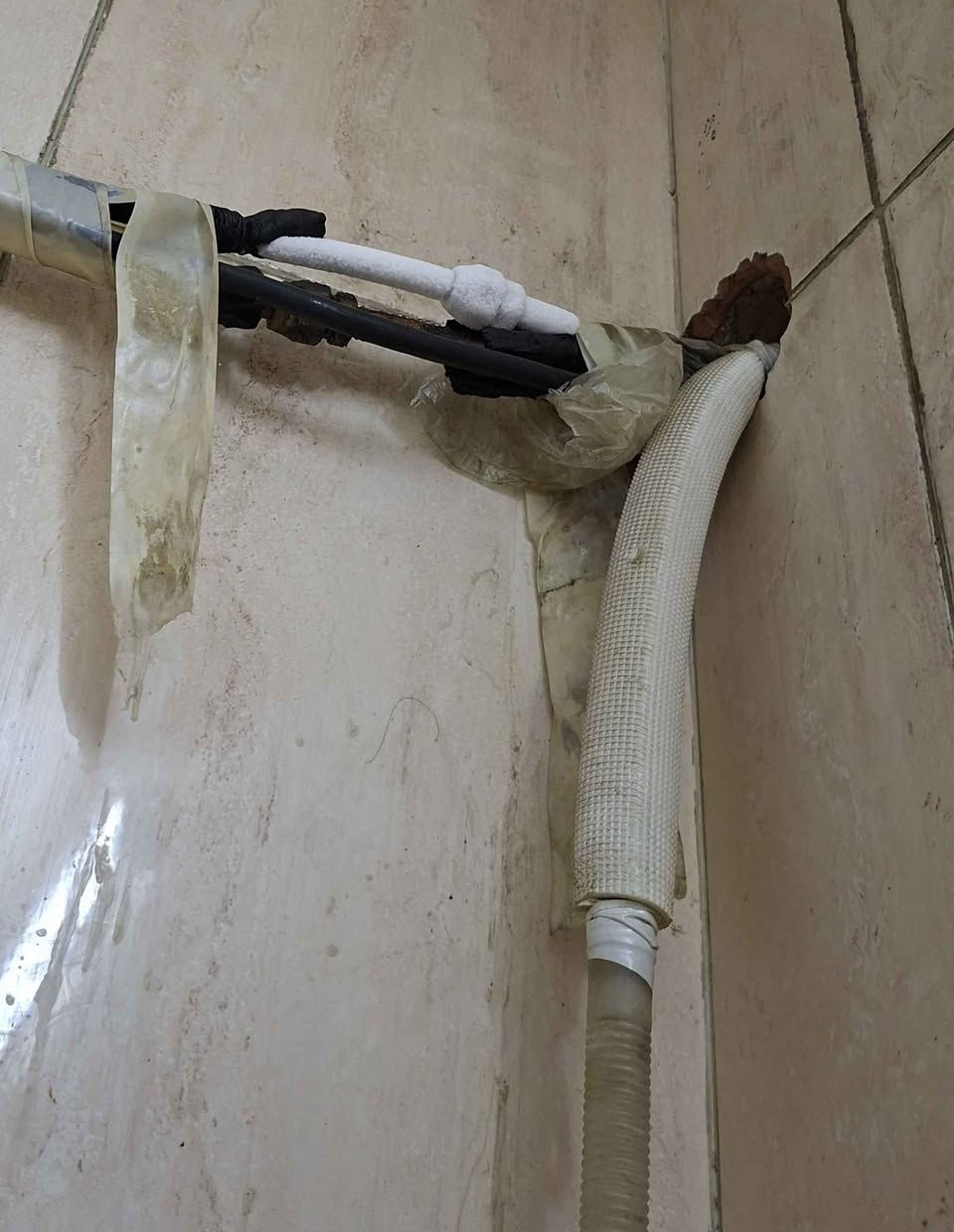 سبلت جداري طن ونص يشتغل بداية ليك..
لان صار تجميد بالبوري الرفيع..
وقل تبريده بنسبة50%..
بعده منصوب
السعر ٢٧٥
واتساب ٠٧٨٠١٥٤٦٦ بغداد, العراق

