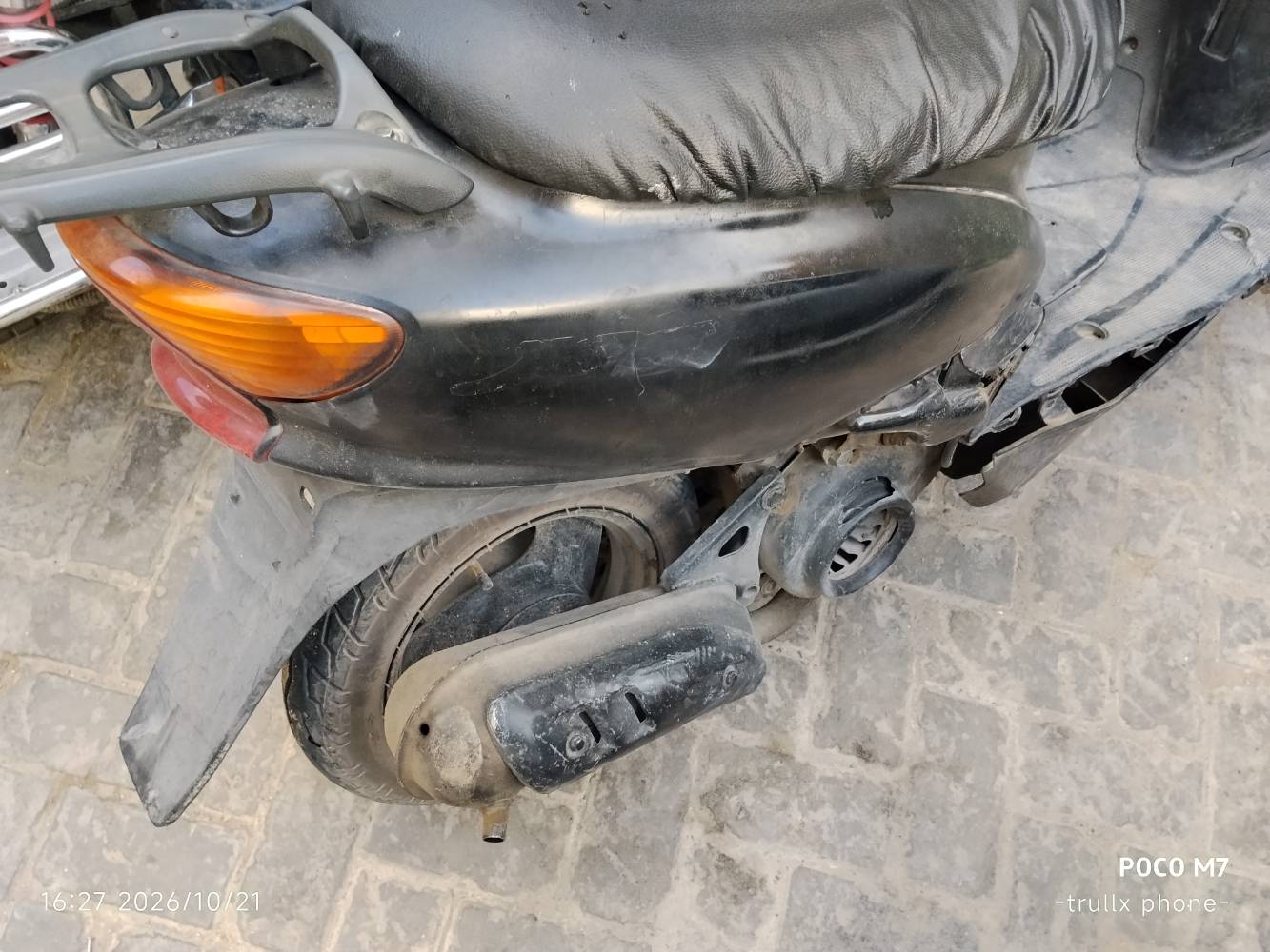 عصفورية • ٦٠ • سلف متقطع