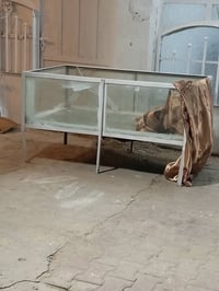 اخوان محل للبيع مع الايجار شوايه اسماك حوض اسماك طباقات دجاج طبقات اسم...