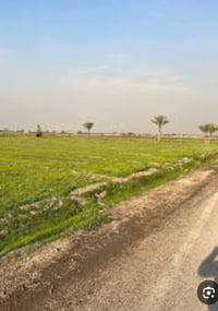 ٥٠+دونم • طابو ملك صرف • ماء سقي