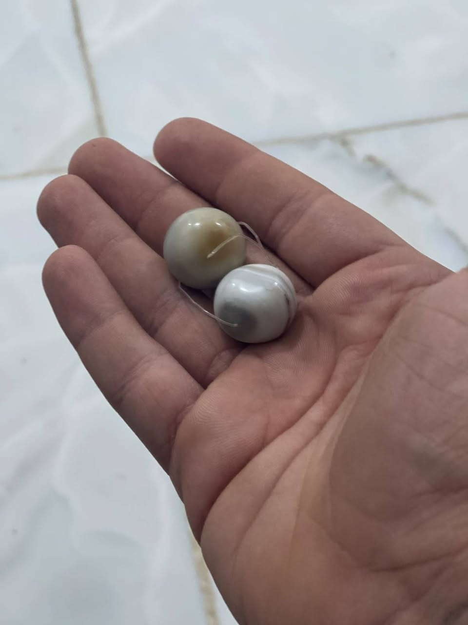 خرز • سعر خاص • مش موجود عالنت