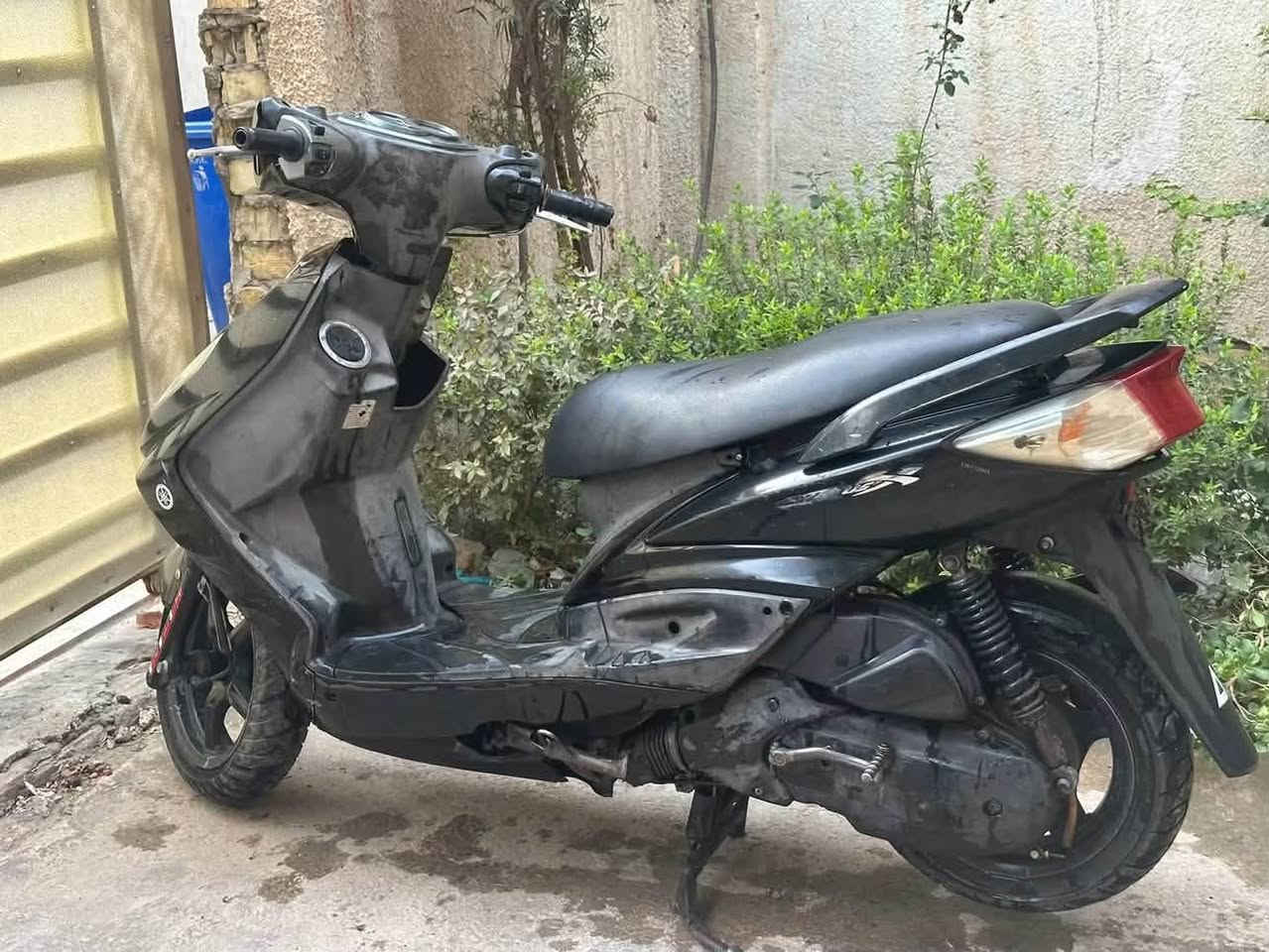 سكنس فحل • كابريتر • مكفوله