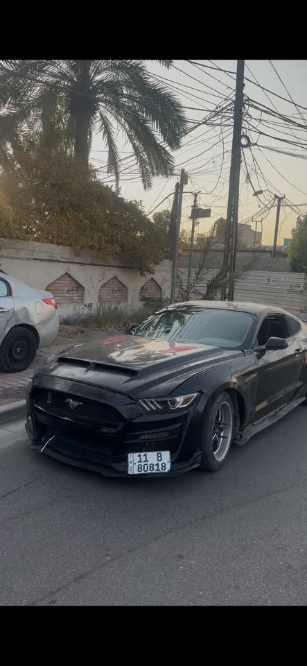 فورد موستنك ٢٠١٥
اقره التفاصيل قبل ماتدخل خاص

كير عادي

السيارة داخله كلين بيها جاملغات خلفي مصبوغه اثر شخوط وانصبغت حزام

يحتاجلها صبغ بنيدها لون ابيض

ويحتاجلها ترتيبات

بيها طعجه بالجاملغ الخلفي جهة السايق

يحتاجلها سمكرة وصبغ

مواصفات السيارة

محرك كير مكفولات 

محرك 6 سلندر جديده شادها ماشيه ٢٠ الف

الاضافات🕹️

دعامية شيلبي

تخم سكوبات خلفي ومثلث

دواسات ولحية شيلبي

وياله ويلد 19

شوته afe

اكسل 3.55

رقم مميز

وبيها بعد اضافات

عنواني البصرة او بغداد 

الرقم ***********

واتساب فقط***********
