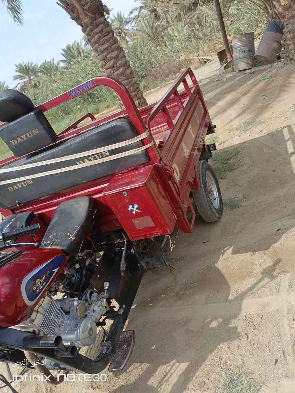 ستوته دايون • موديل ٢٠٢٣ • أوراق أصولي