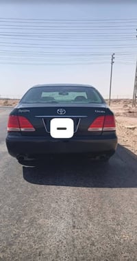 شاهينه • ٢٠٠٦ • البصرة