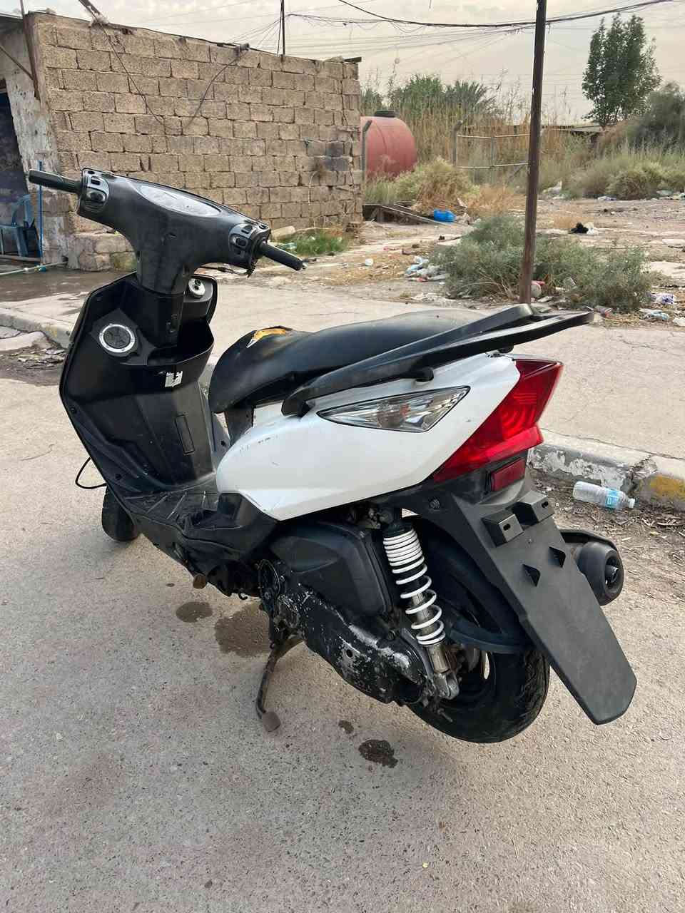 ثعلب • ١٤٠ • مابيه نقص