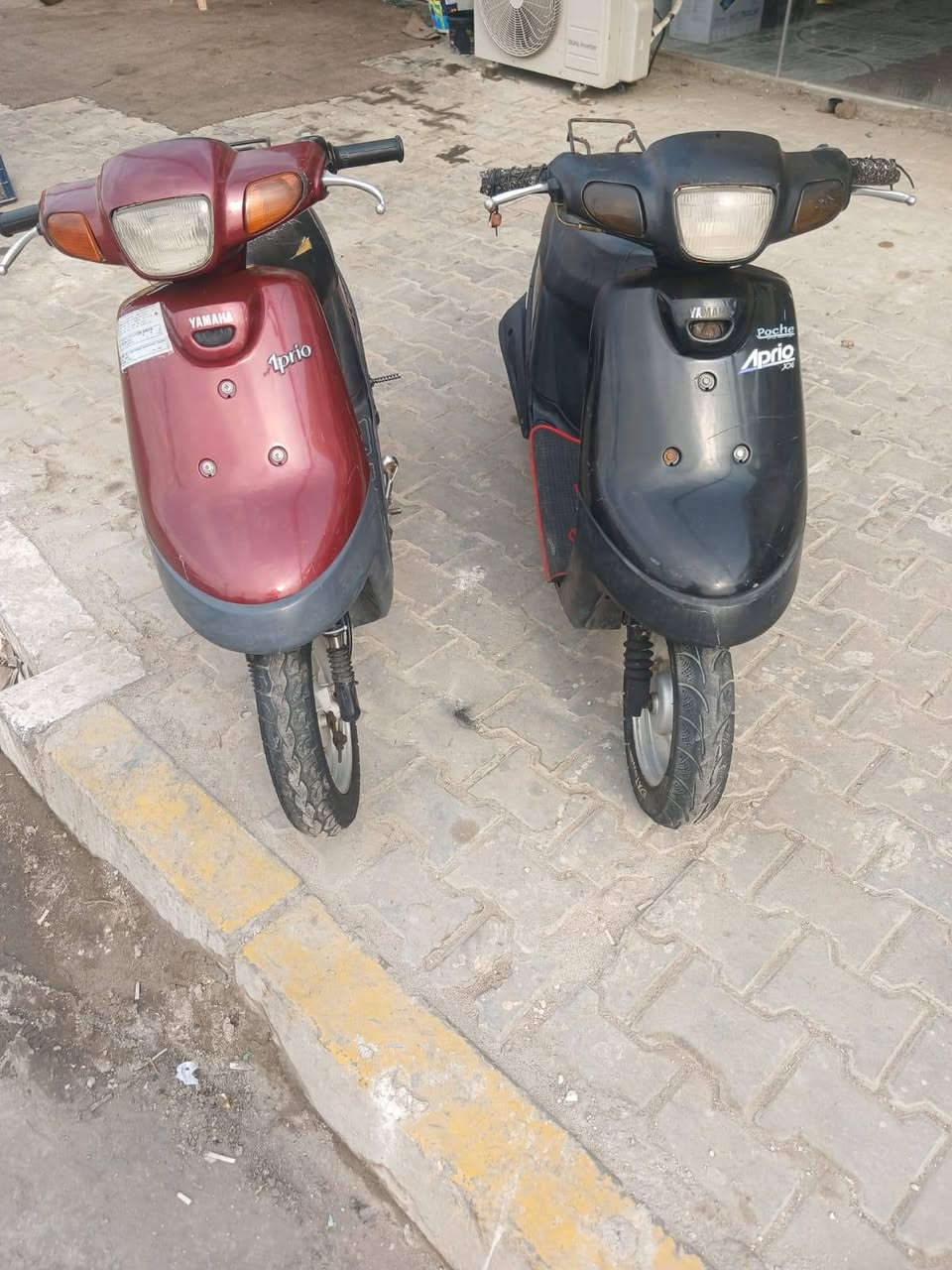 بطة • نضيفه • شواصي