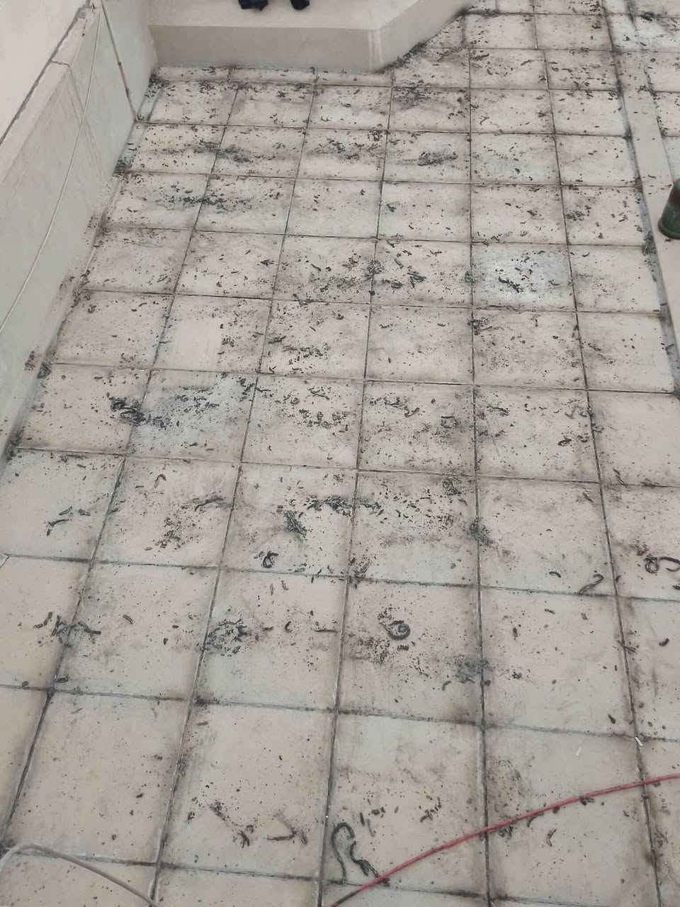 قلع ماستك قديم واضافه ماستك جديد بسعر مناسب ♻️✅
حافظ على بيتك من رطوبه 💧⚡️

نشتغل بيوت ودوائر ومستشفايات⚡️

والمدارس والعماير ⚡️

وعمل يدوم سنوات✅

الاستفسار الاتصال ***********
الخاص مفتوح ✅
