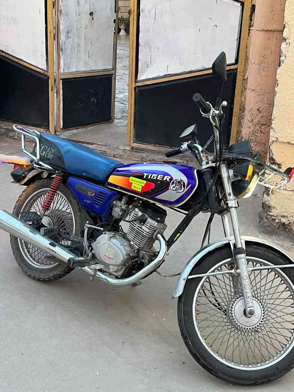 تايگر • ٢٠٢١ • فول ونشاط