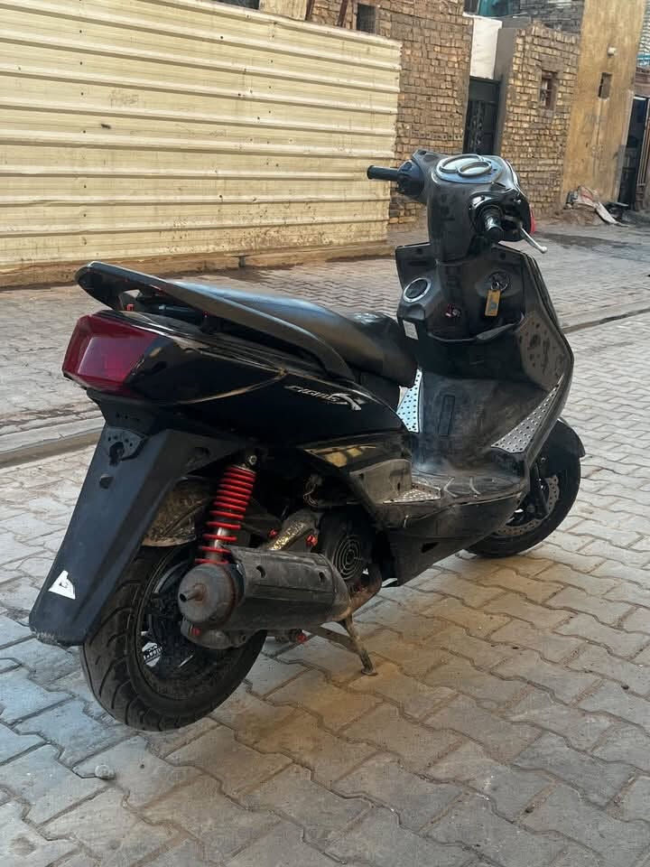 السلام عليكم سكنس فحل للبيع الدراجه حلوه بيها بس السلف يطلع ونه وما عرفت اسوي الدراجه مكينه٥٥مزود الدراجه بيها كلج تزويد وموجود البلادي مكاني بغداد الحريه ول سعر 625وبيها مجال حك الجيه رقم ***********متواجد فقط رقم
