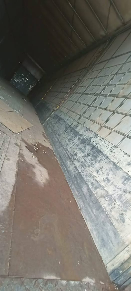 رينو • ٢٠٠٣ • واسط دبوني