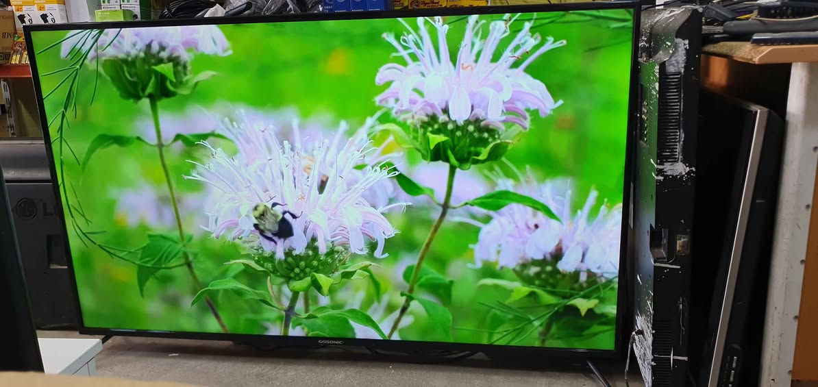 تەلەفیزۆنی گۆسۆنیک سمارت 4K سەتەلایتی تێدایە
قەبارە 65 خاوێنە نرخی 380000 بەشەرتە لە هەولێرە
پەیوەندی بکەن بە واتساپ و ڤایبەر *********** أربيل, العراق
