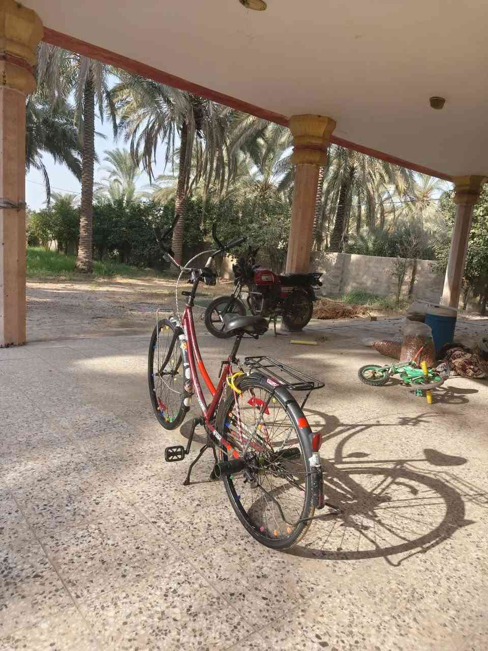 بايسكل • للبيع • السعر خاص