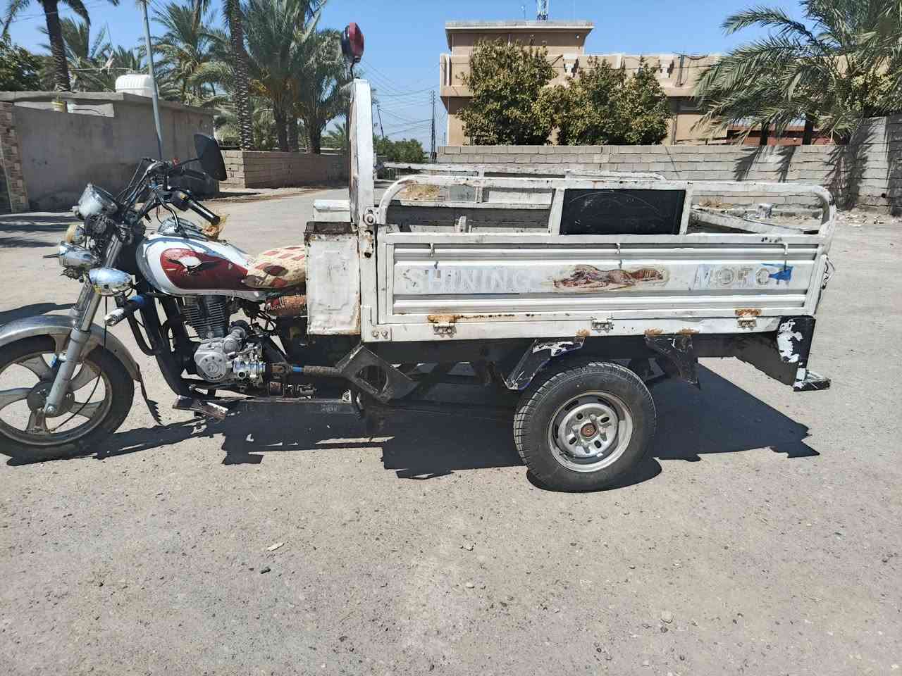 سلام عليكم ستوتة للبيع ام الطير السعر مليون وبيها مجال العنوان ديالى هاذ الرقم بي واتساب ***********
